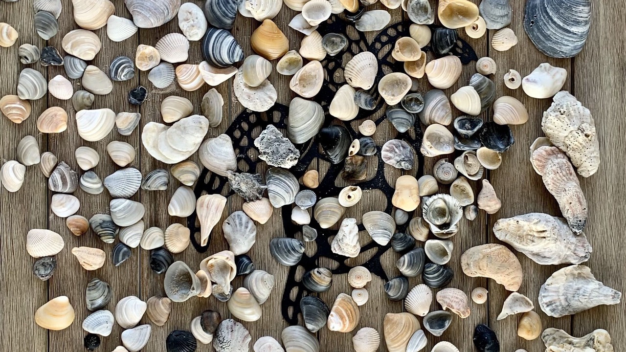 Photo of Others in Matagorda