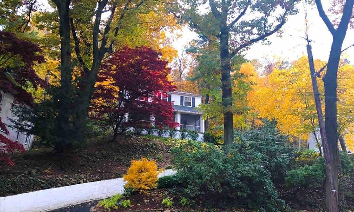 Photo of Outdoor in Upper Montclair