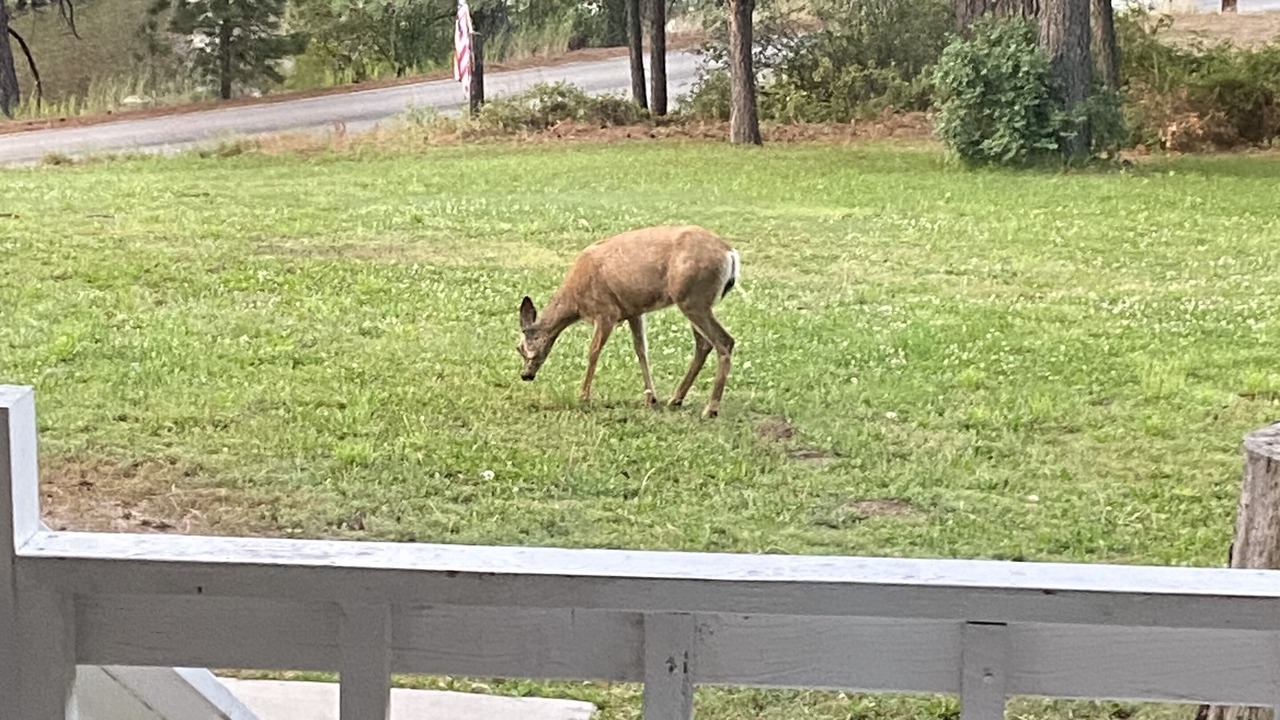 Photo of Others in Garden Valley
