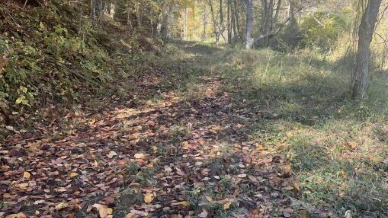 Photo of Outdoor in Bakersville