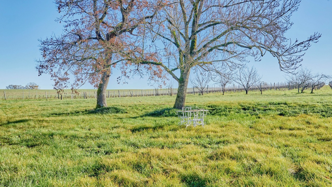 Photo of Others in Valence-sur-Baise