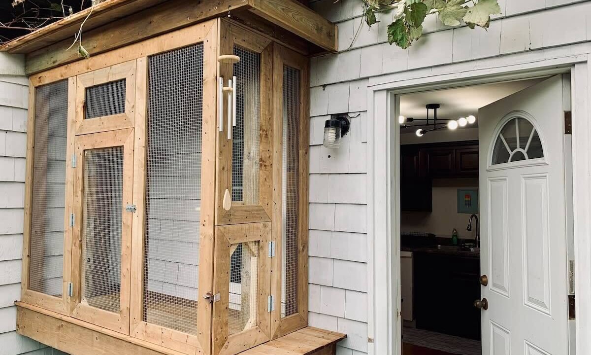 Photo of Outdoor in North End