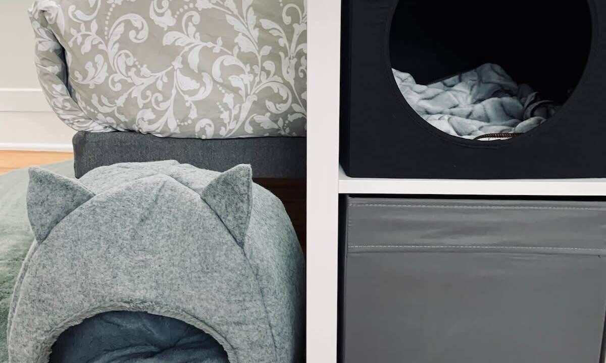 Photo of Others in North End