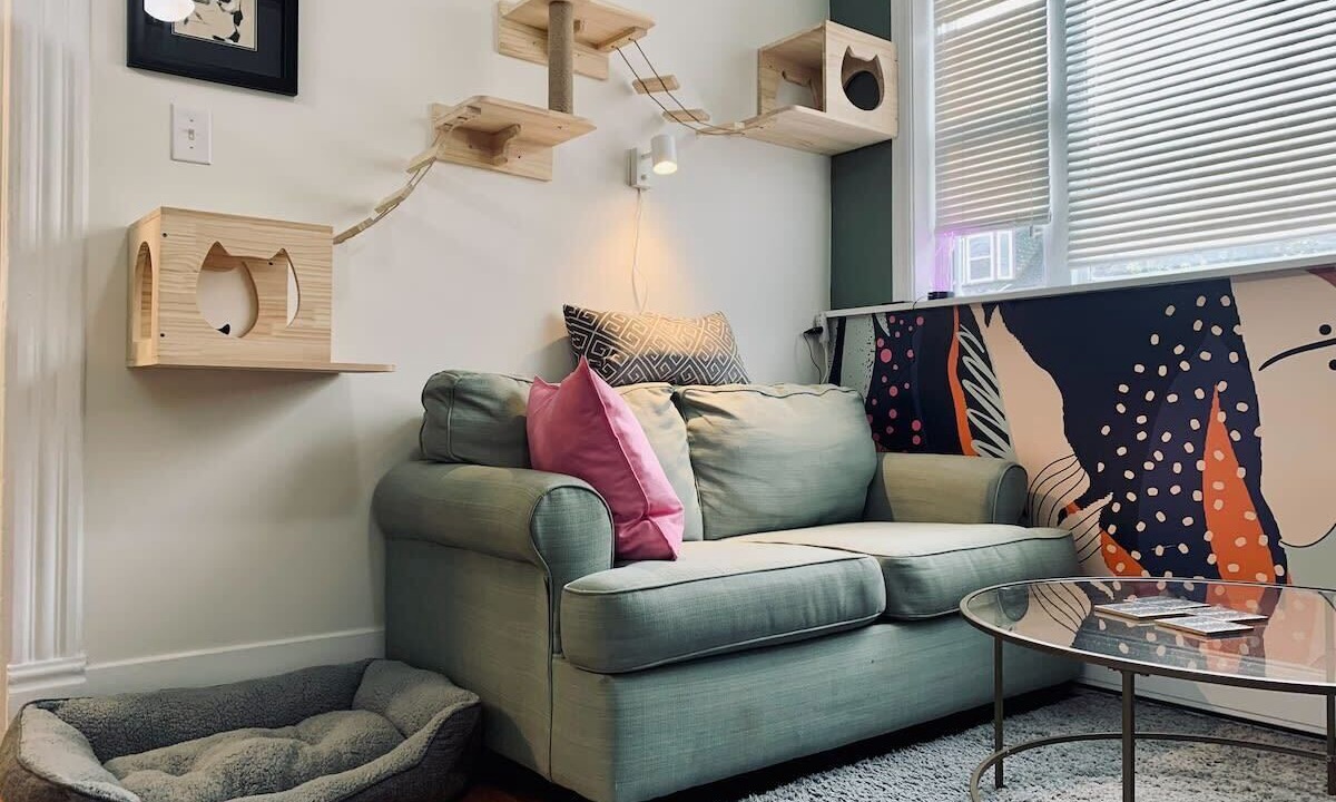 Photo of Livingroom in North End