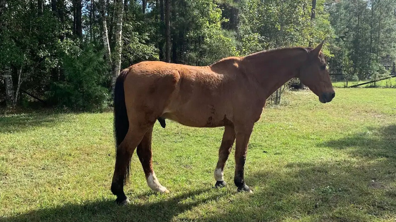Photo of Outdoor in Middleburg
