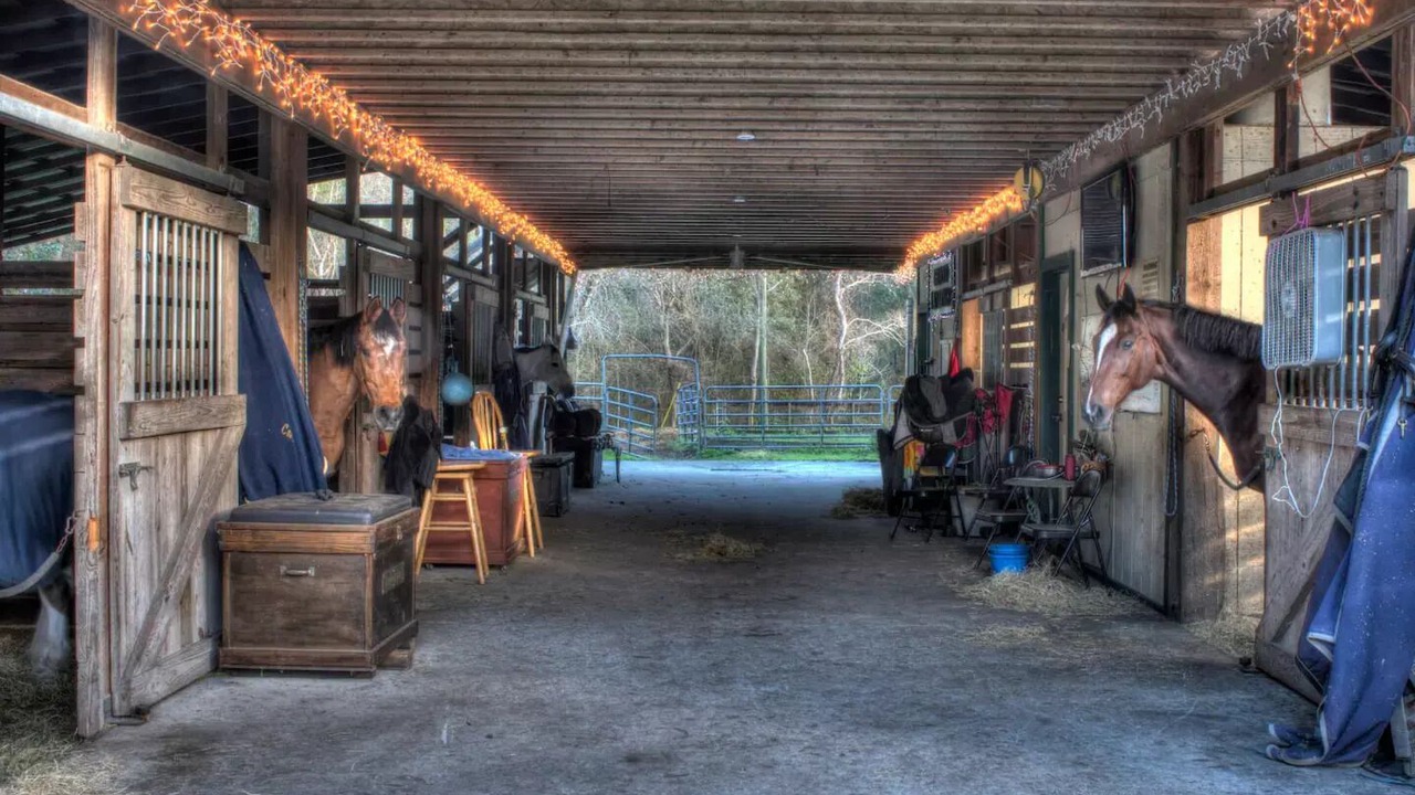 Photo of Outdoor in Middleburg