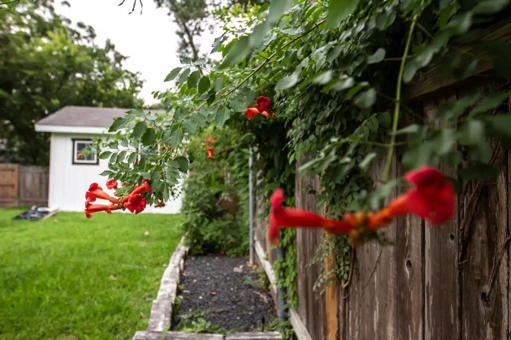 Photo of Outdoor in Windsor Hills