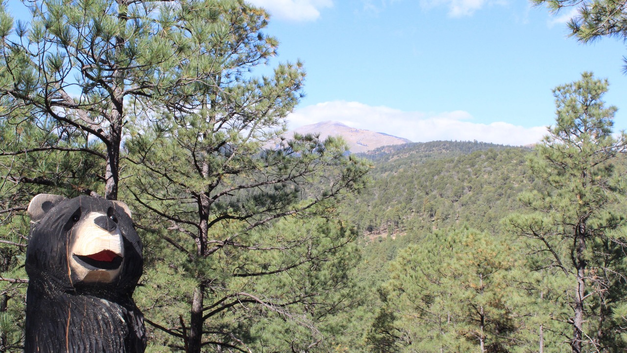 Photo of Patio Balcony in Ruidoso