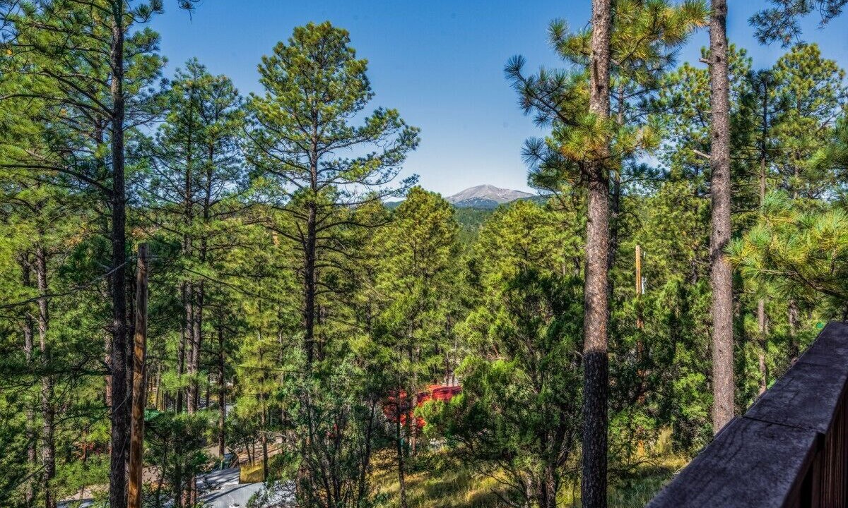 Photo of Patio Balcony in Ruidoso