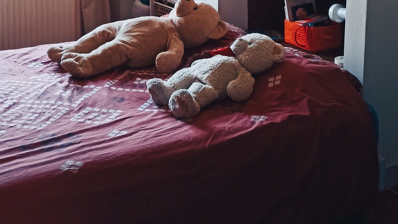 Photo of Bedroom in Combleux