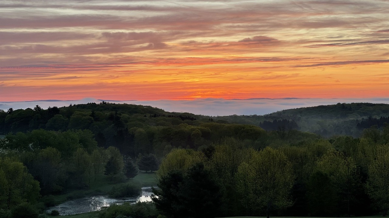 Photo of Others in Otego