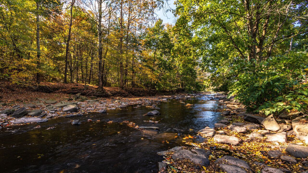 Photo of Outdoor in Jeffersonville