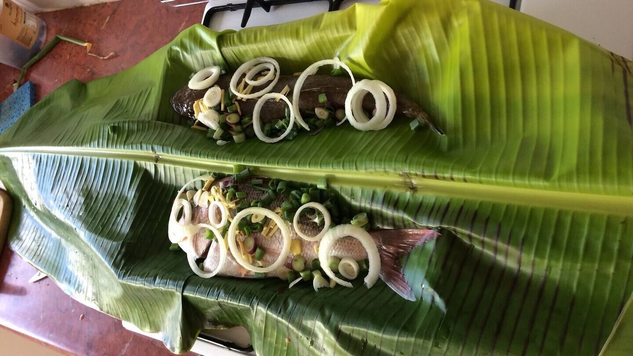 Photo of Others in Possum Brush