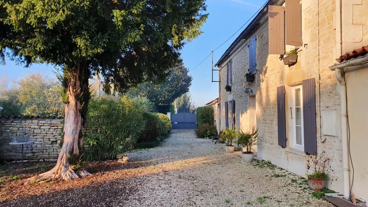 Photo of Outdoor in Chaille-les-Marais