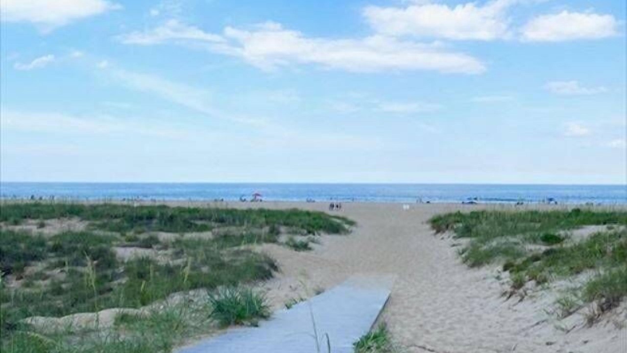 Photo of Others in Northeast Virginia Beach