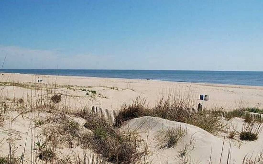 Photo of Others in Northeast Virginia Beach