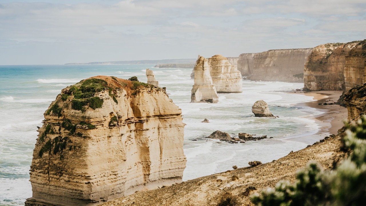 Photo of Others in Wattle Hill