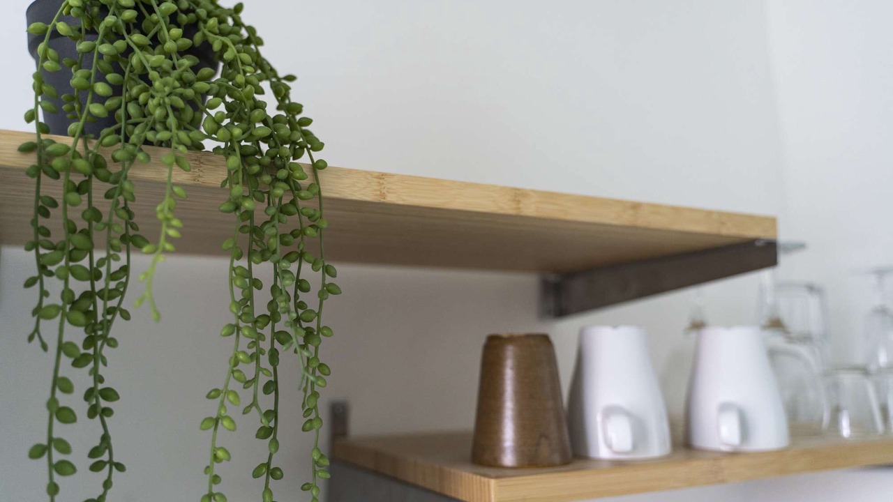 Photo of Others in Saint-Martin-du-Littoral