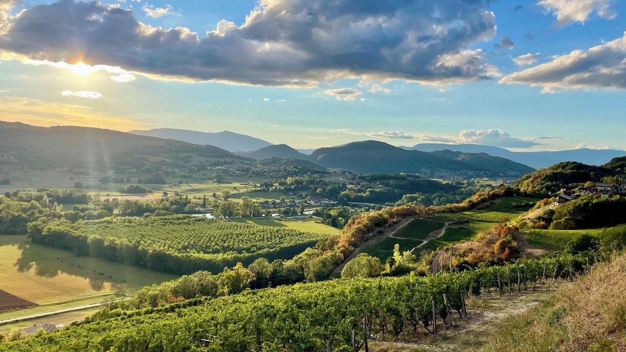 Photo of Others in Yenne