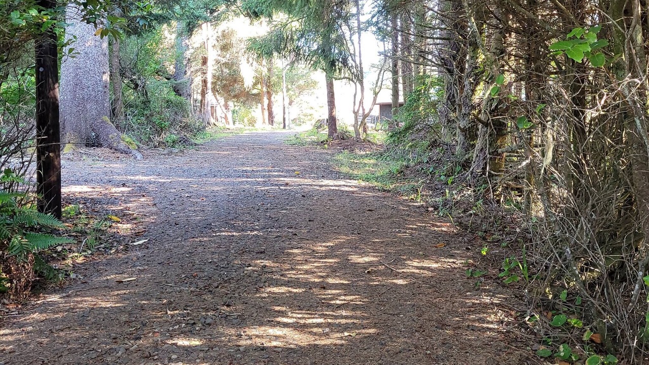 Photo of Others in Cape Meares