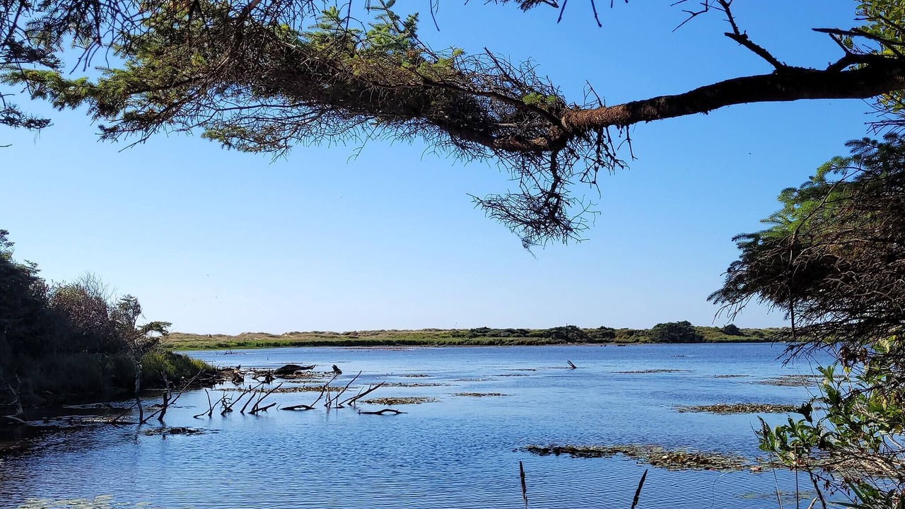 Photo of Outdoor in Cape Meares