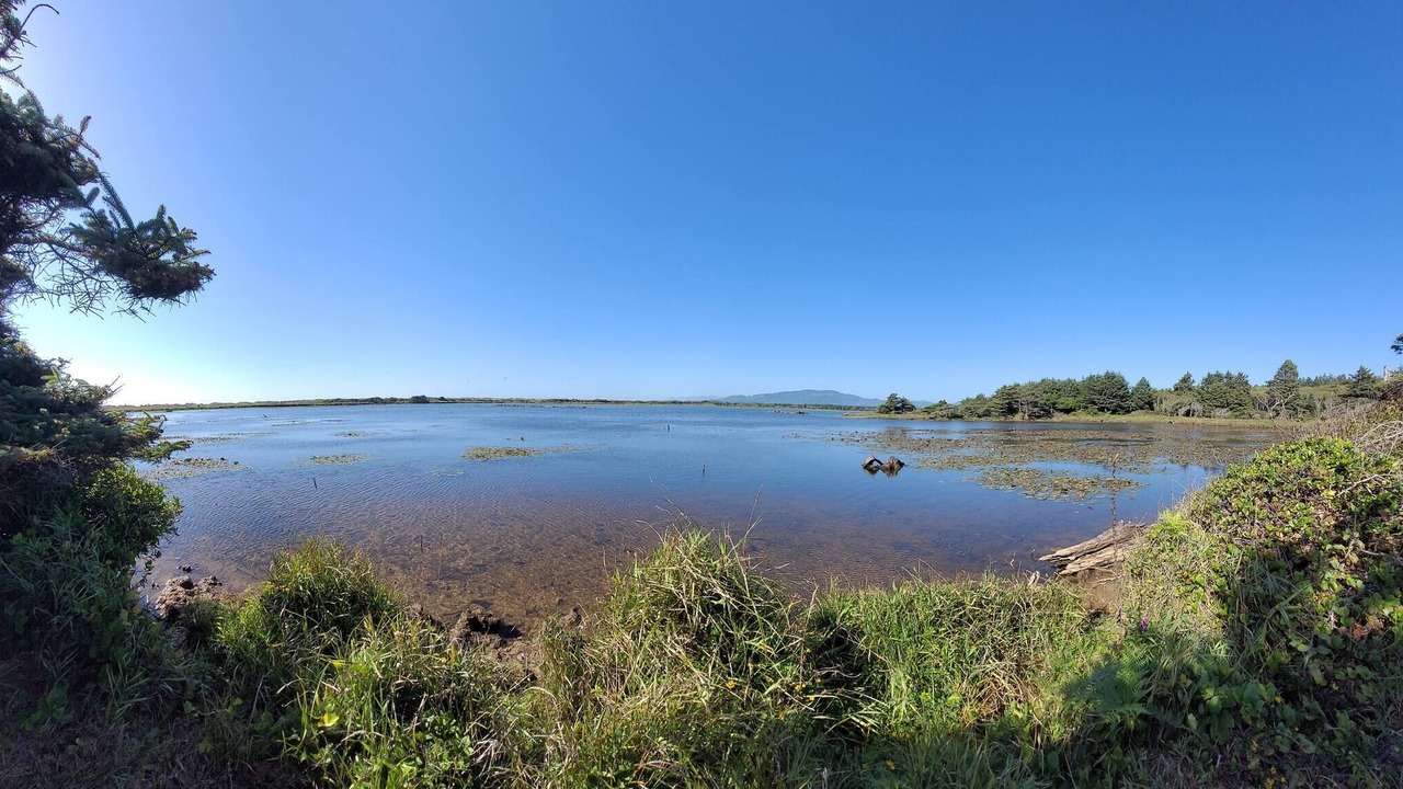 Photo of Outdoor in Cape Meares