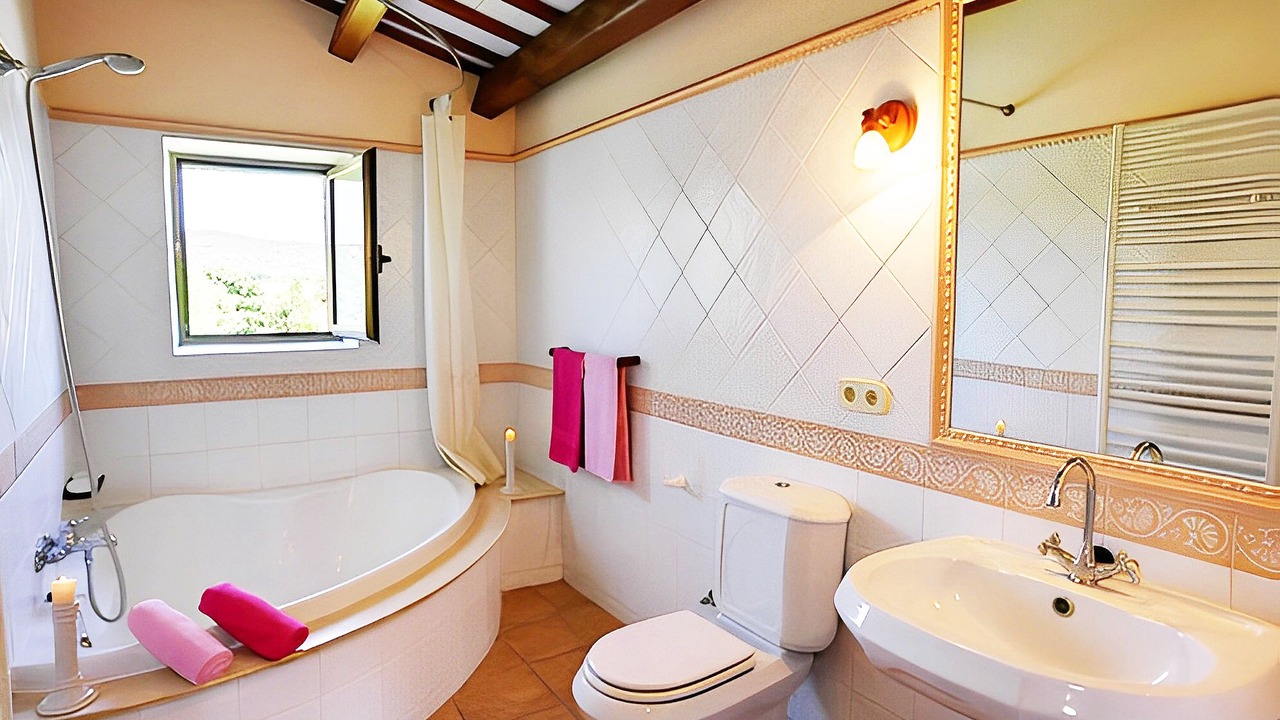 Photo of Bathroom in Vall-Llobrega