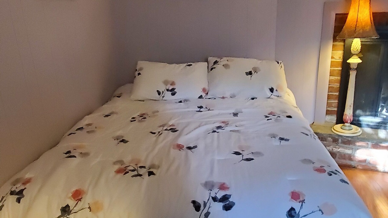 Photo of Bedroom in Moylan