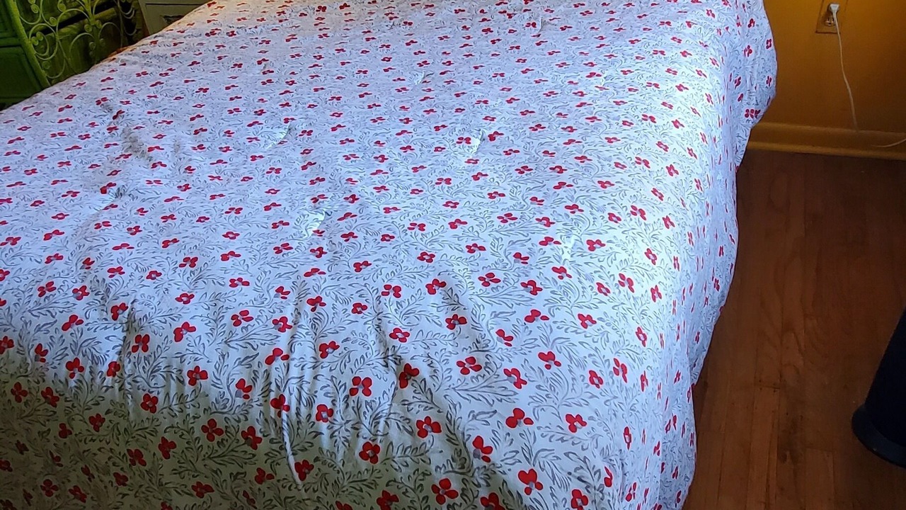 Photo of Bedroom in Moylan