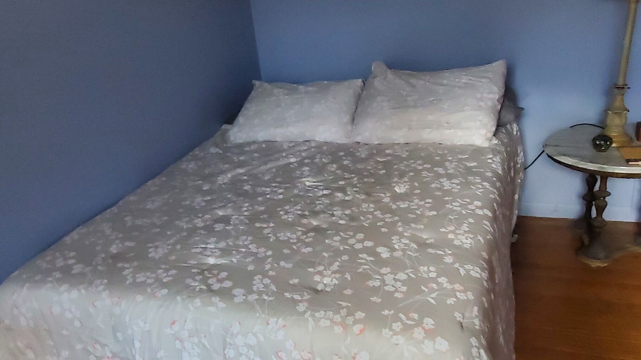 Photo of Bedroom in Moylan