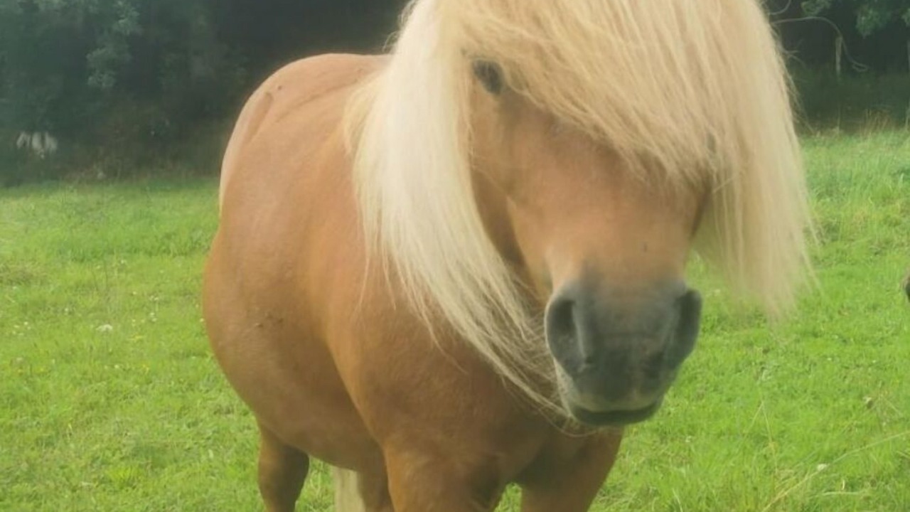 Photo of Outdoor in Saint-M'Herve