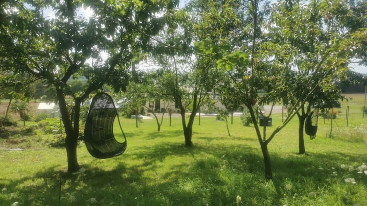 Photo of Outdoor in Saint-M'Herve