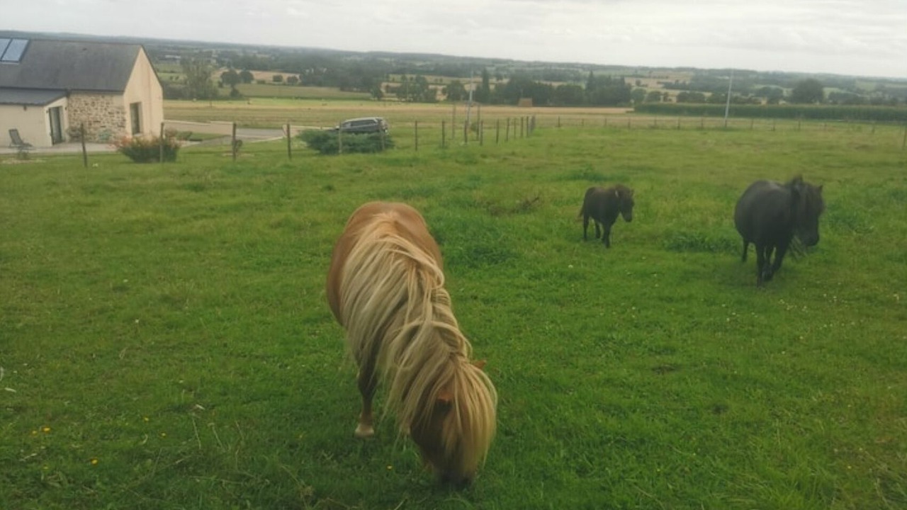 Photo of Others in Saint-M'Herve