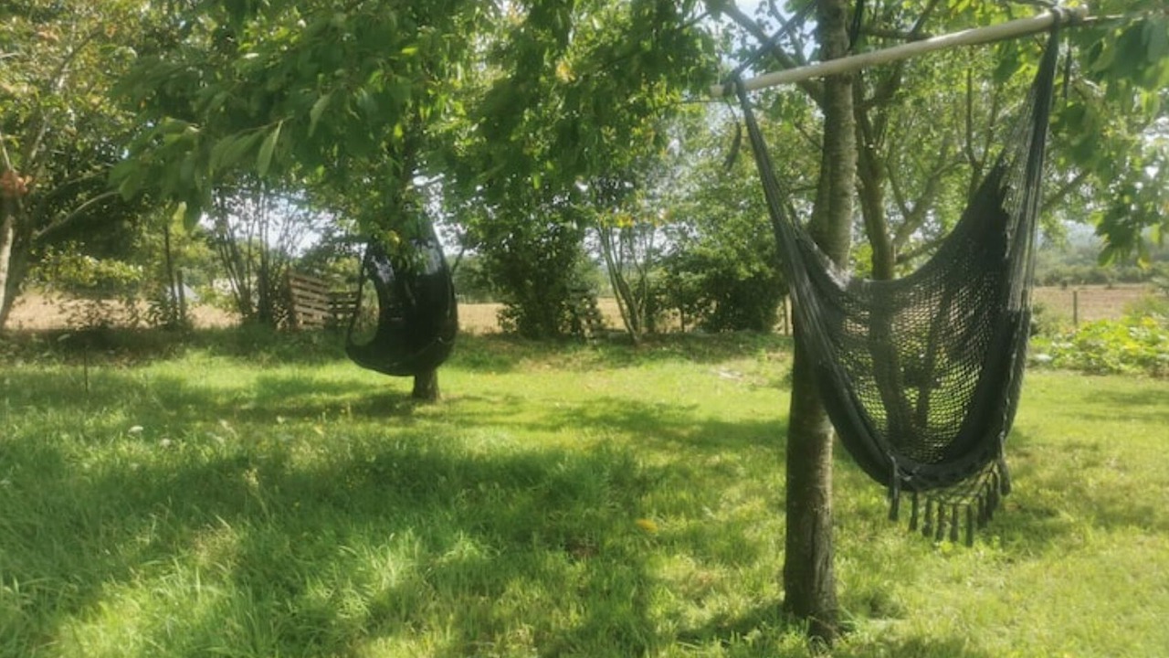 Photo of Outdoor in Saint-M'Herve