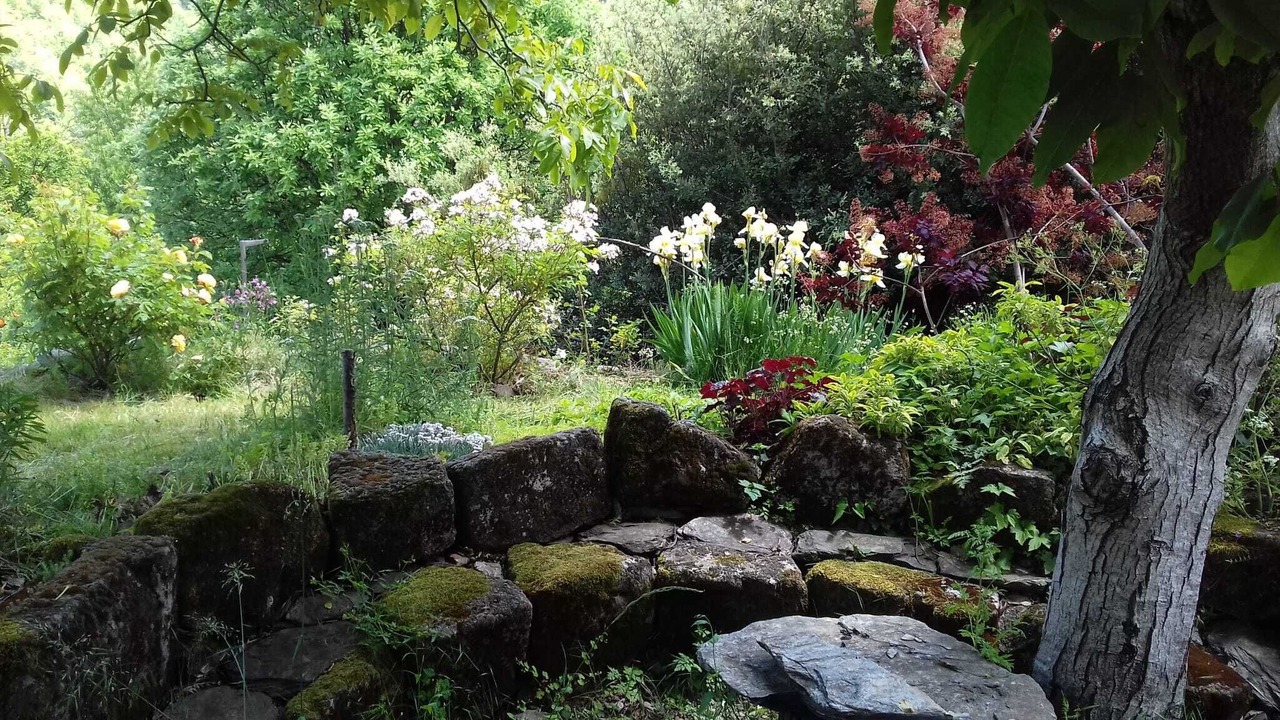 Photo of Outdoor in Malons-et-Elze