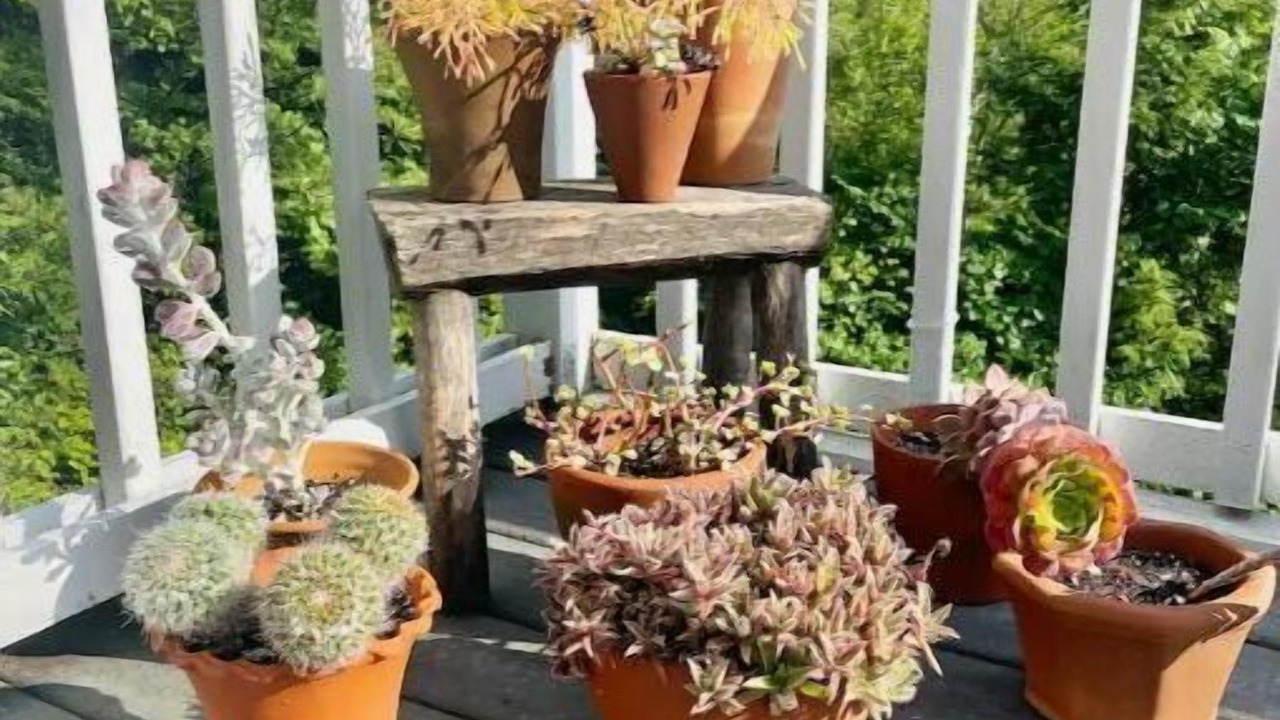 Photo of Outdoor in Canaan