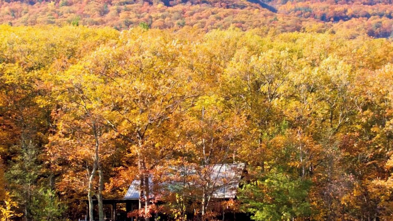 Photo of Others in Saugerties