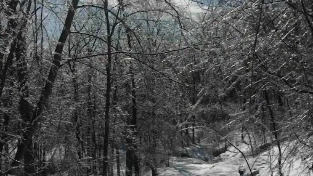 Photo of Others in Saugerties