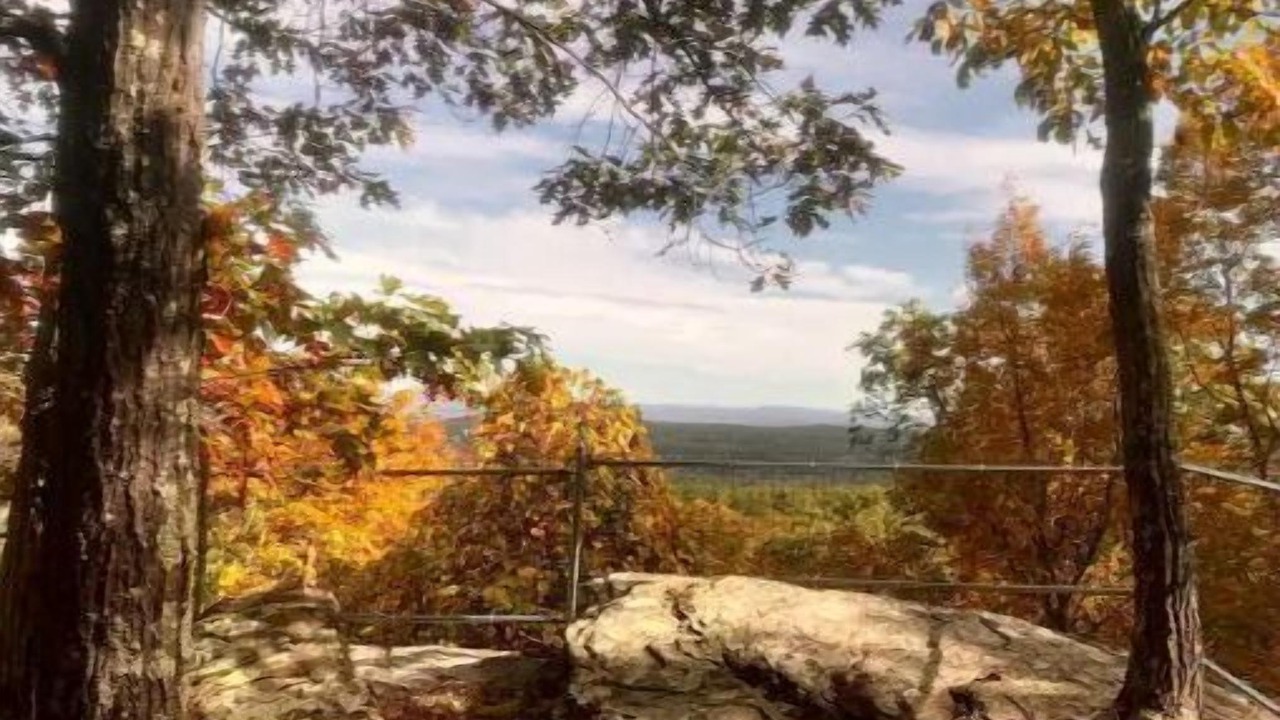 Photo of Others in Saugerties