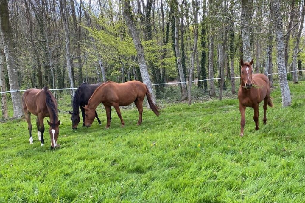 Photo of Others in Lanches-Saint-Hilaire