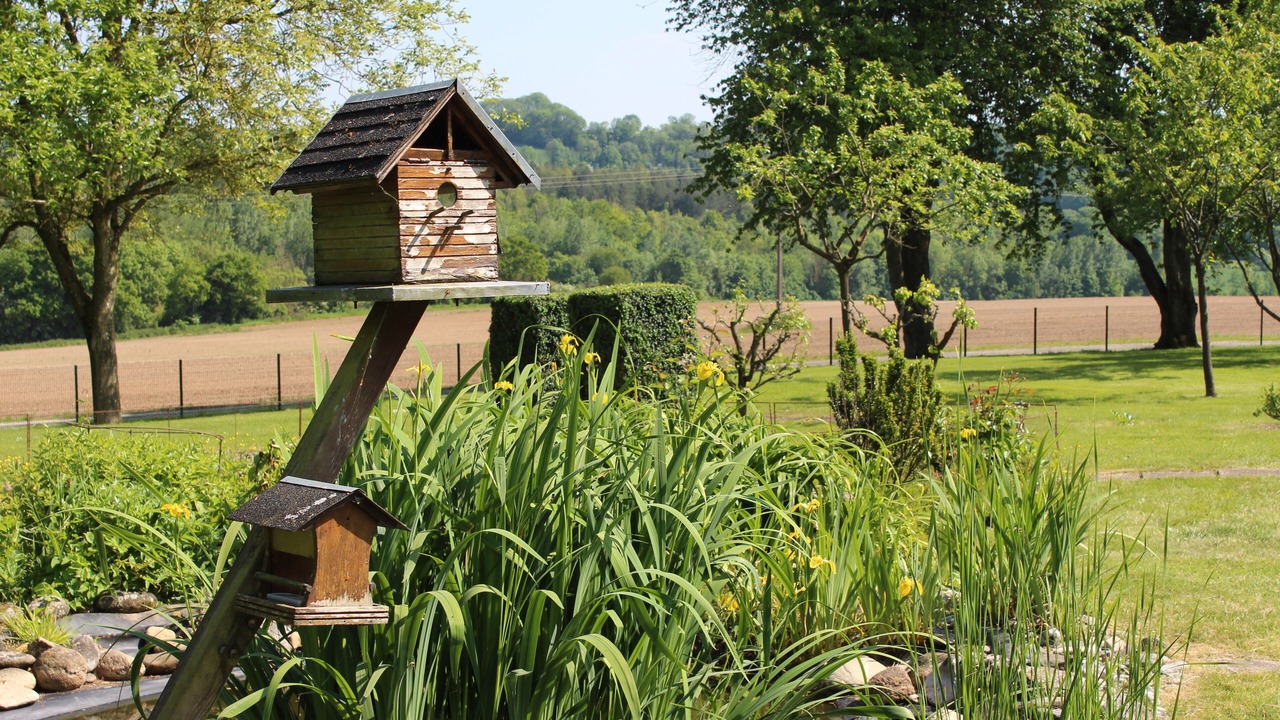 Photo of Outdoor in Lanches-Saint-Hilaire