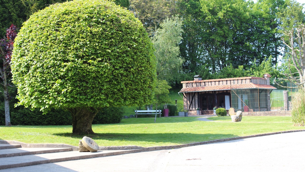 Photo of Outdoor in Lanches-Saint-Hilaire