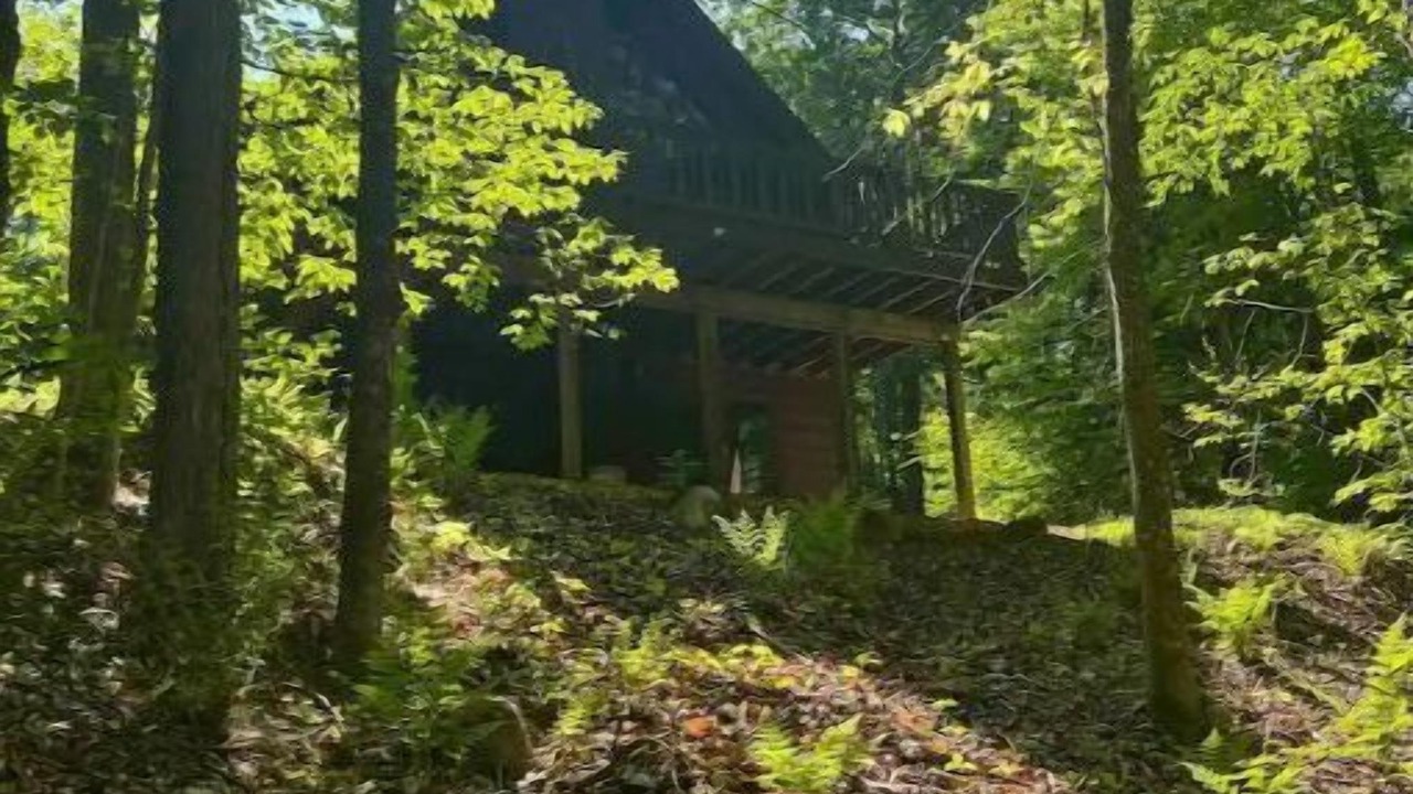 Photo of Outdoor in Adirondack Region