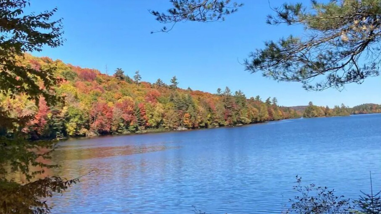 Photo of Outdoor in Adirondack Region