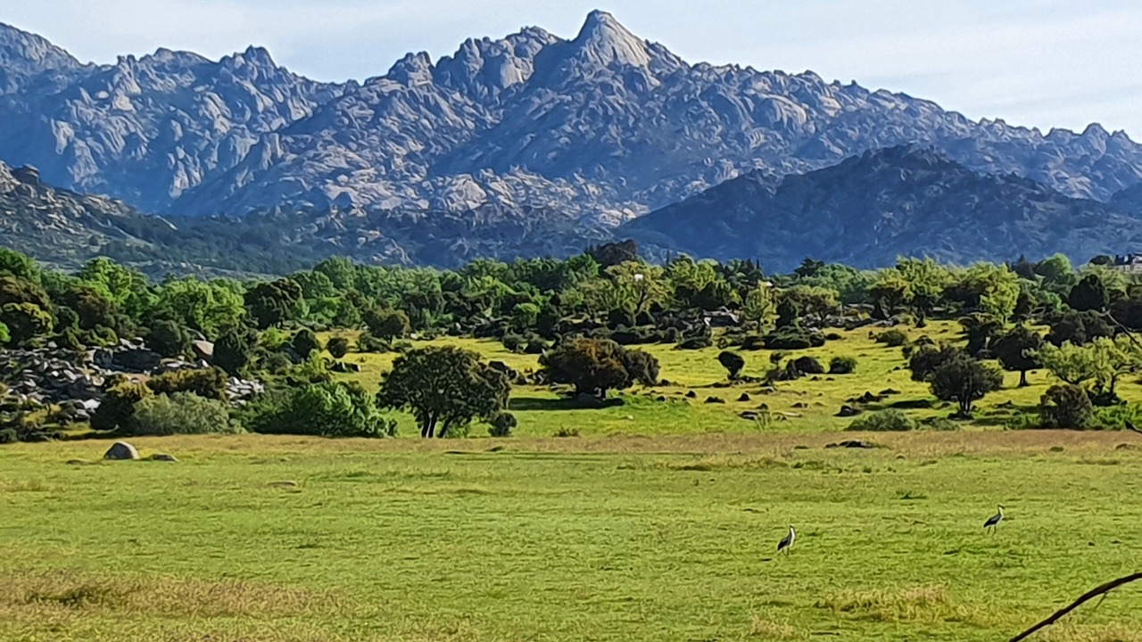 Photo of Others in El Boalo