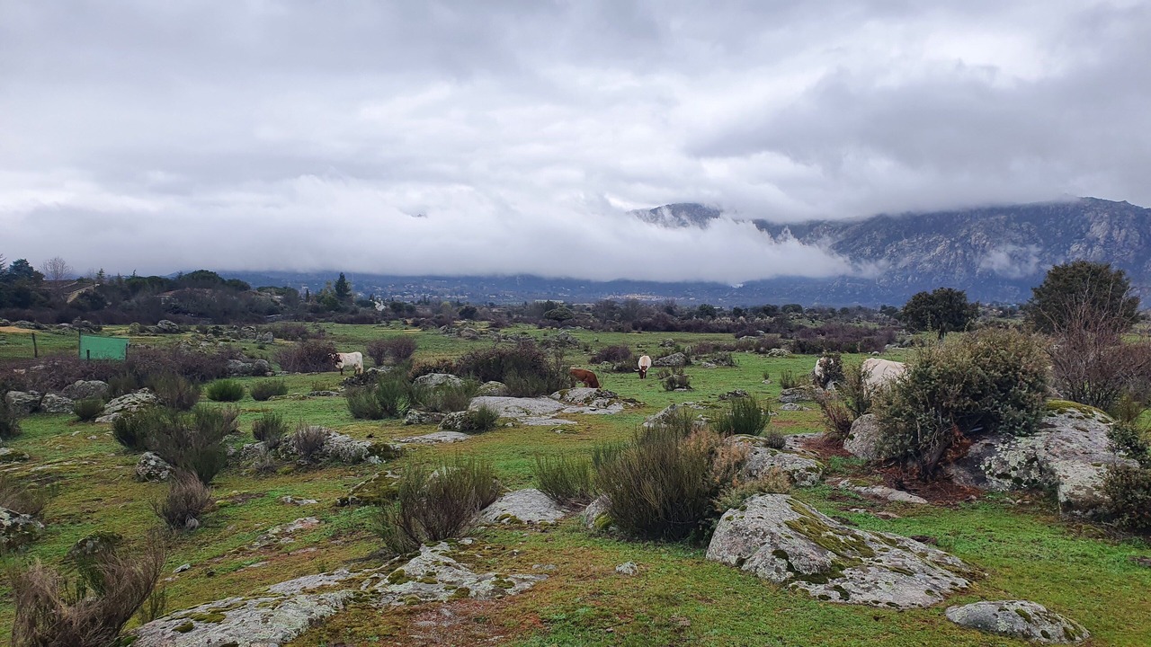 Photo of Outdoor in El Boalo