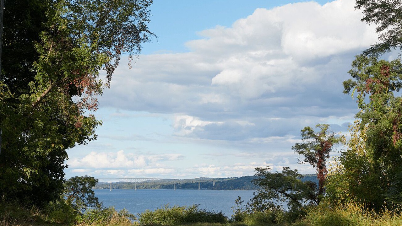Photo of Others in Kingston