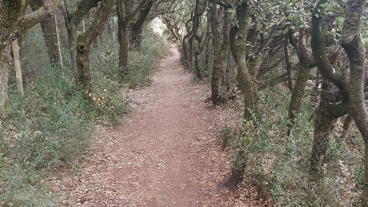 Photo of Others in Semussac