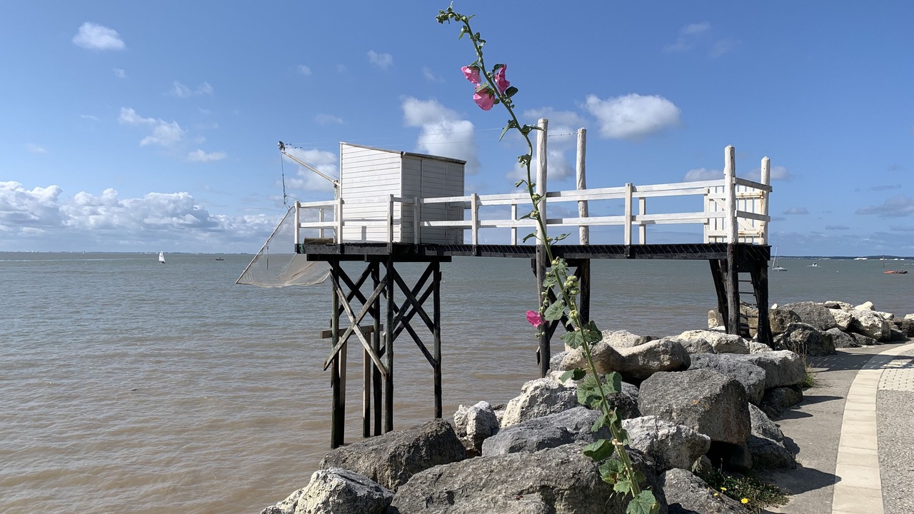 Photo of Others in Semussac