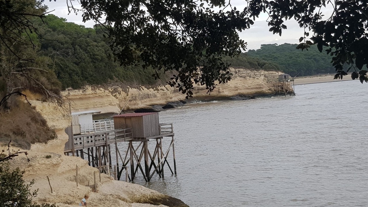 Photo of Others in Semussac